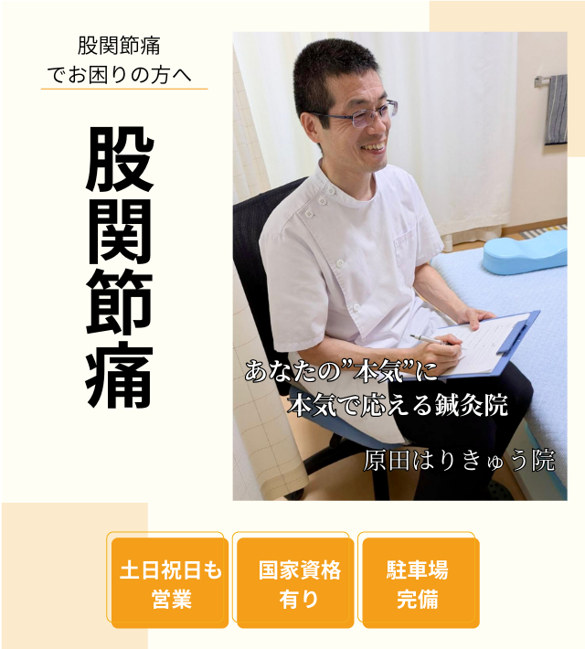 股関節痛のヘッダー画像