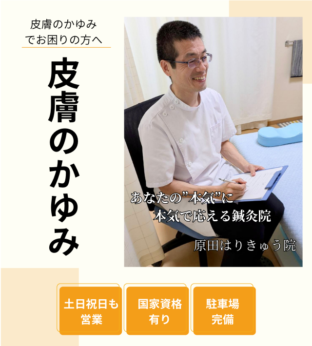 皮膚のかゆみのヘッダー画像