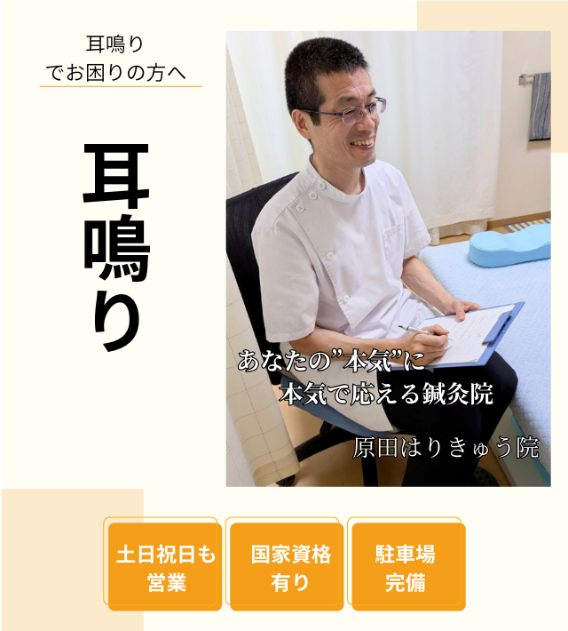 耳鳴りのヘッダー画像