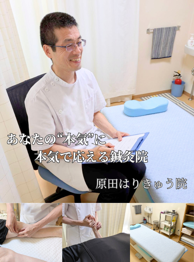あなたの本気に本気で応える鍼灸院 原田はりきゅう院