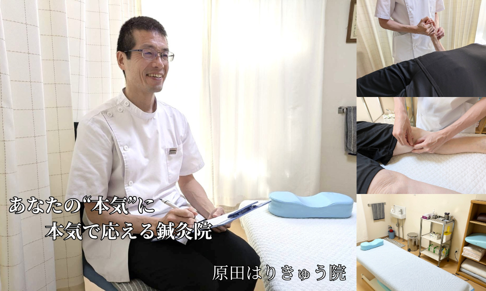 あなたの本気に本気で応える鍼灸院 原田はりきゅう院